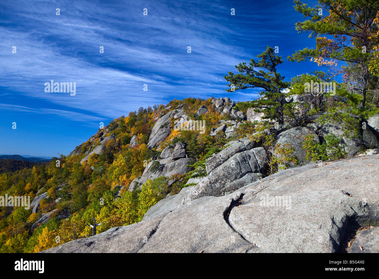 Esposta al vertice di granito della vecchia Rag Mountain con profondo cielo blu, il Parco Nazionale di Shenandoah, Virginia. Foto Stock