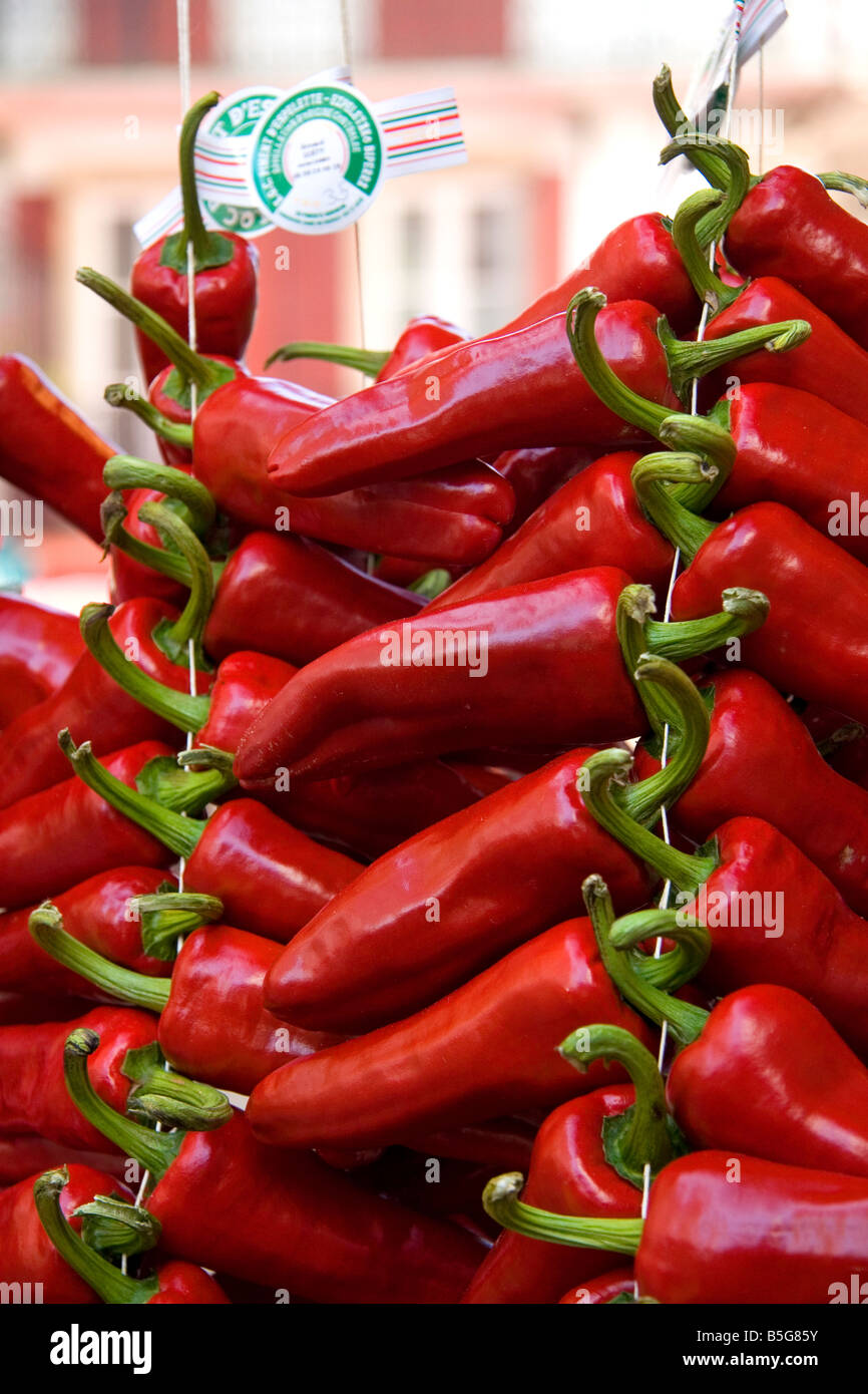 Freschi peperoni piquillo in vendita nella città di Saint Jean de Luz Pirenei Atlantiques Paesi Baschi francesi a sud-ovest della Francia Foto Stock