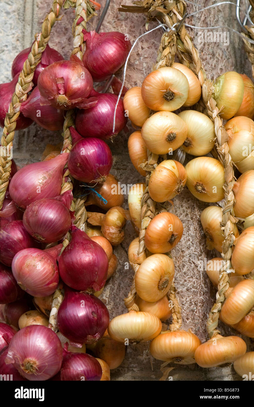 Cipolle venga venduta a un mercato all'aperto nella città di Cangas de Onis Asturias Spagna settentrionale Foto Stock