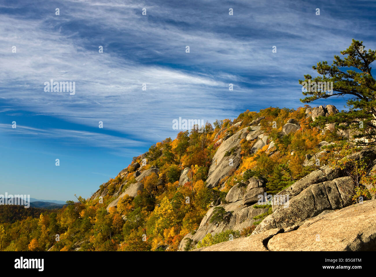 Esposta al vertice di granito della vecchia Rag Mountain con profondo cielo blu, il Parco Nazionale di Shenandoah, Virginia. Foto Stock