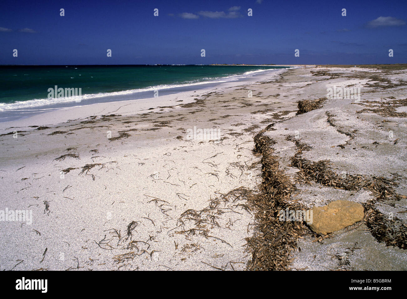 Is Arutas spiaggia, della penisola del Sinis, Sardegna, Italia Foto Stock
