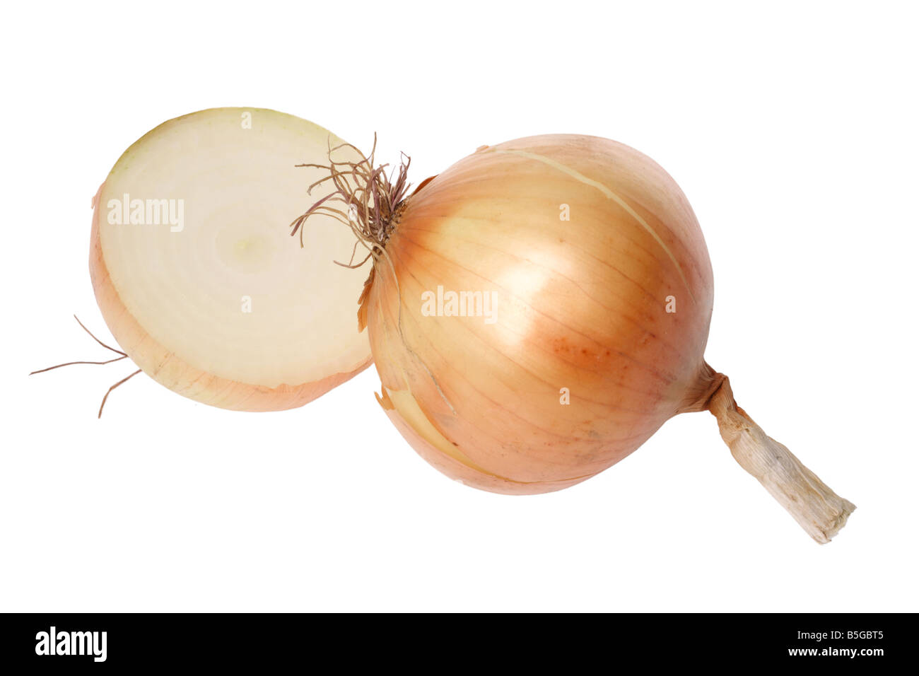 Materie onion intaglio su sfondo bianco Foto Stock