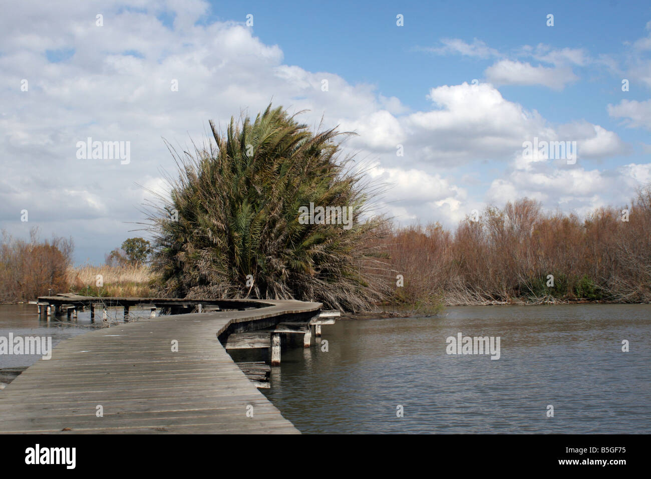 Israele, Distretto Settentrionale Ein Afek Riserva naturale sul fiume Naaman Foto Stock