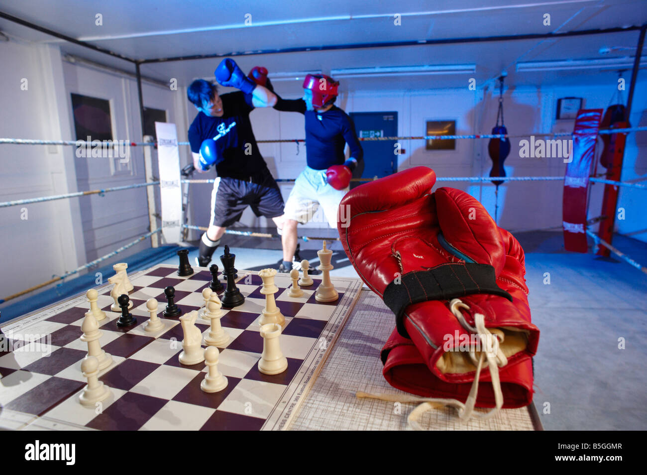 I concorrenti si affrontano in turni alternati in anello e sulla scheda in un nuovo sport noto come chess boxing Foto Stock