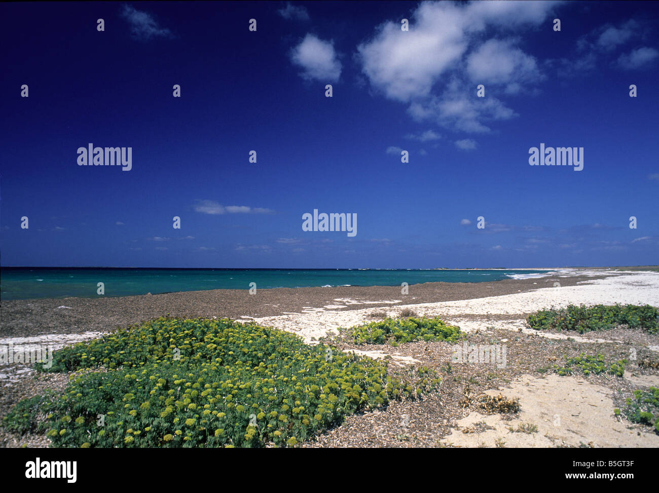 Is Arutas spiaggia, della penisola del Sinis, Sardegna, Italia Foto Stock