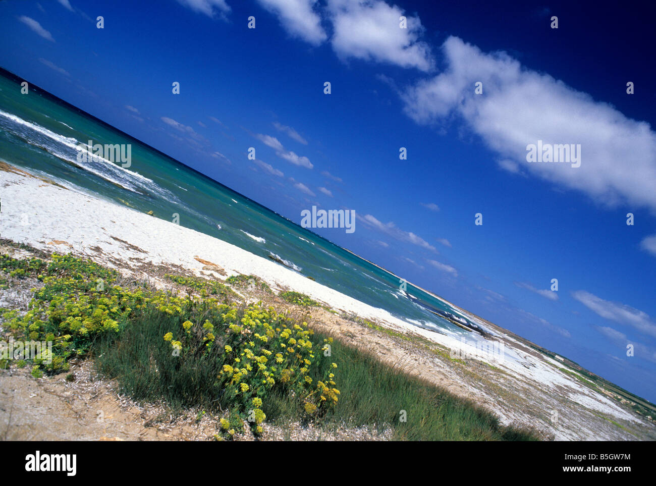 Is Arutas spiaggia, della penisola del Sinis, Sardegna, Italia Foto Stock