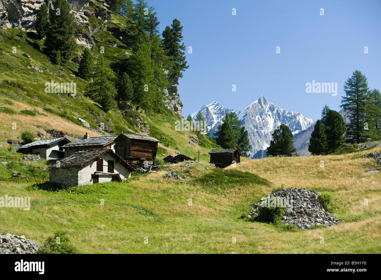 Prato alpino al di sopra di Zermatt Foto Stock