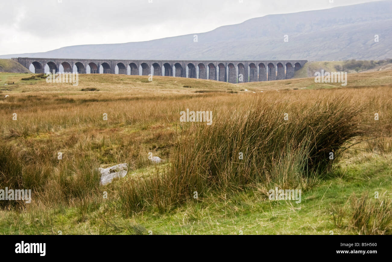 Settle Carlisle viadotto ferroviario nel North Yorkshire, Inghilterra Foto Stock