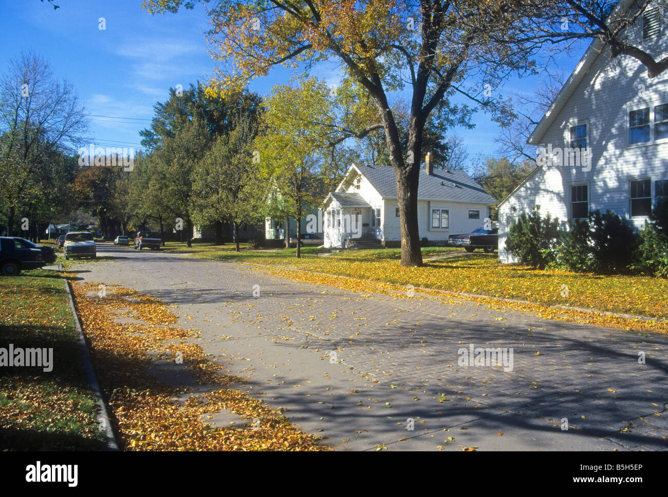 Street con foglie di autunno nella città di Grand Forks, il Dakota del Nord, STATI UNITI D'AMERICA Foto Stock