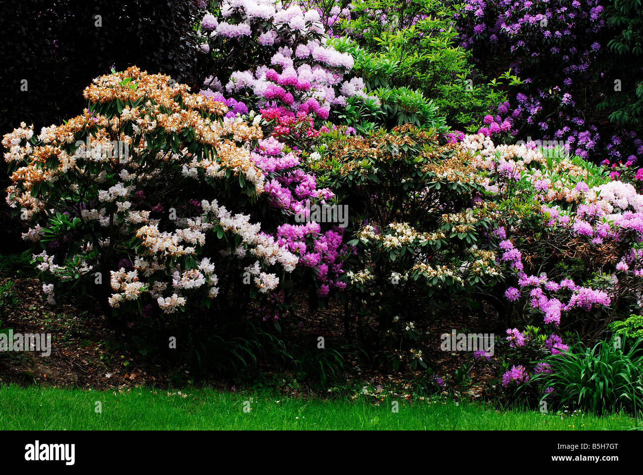 giardino, fiori, giardini santuari, giardino segreto Foto Stock