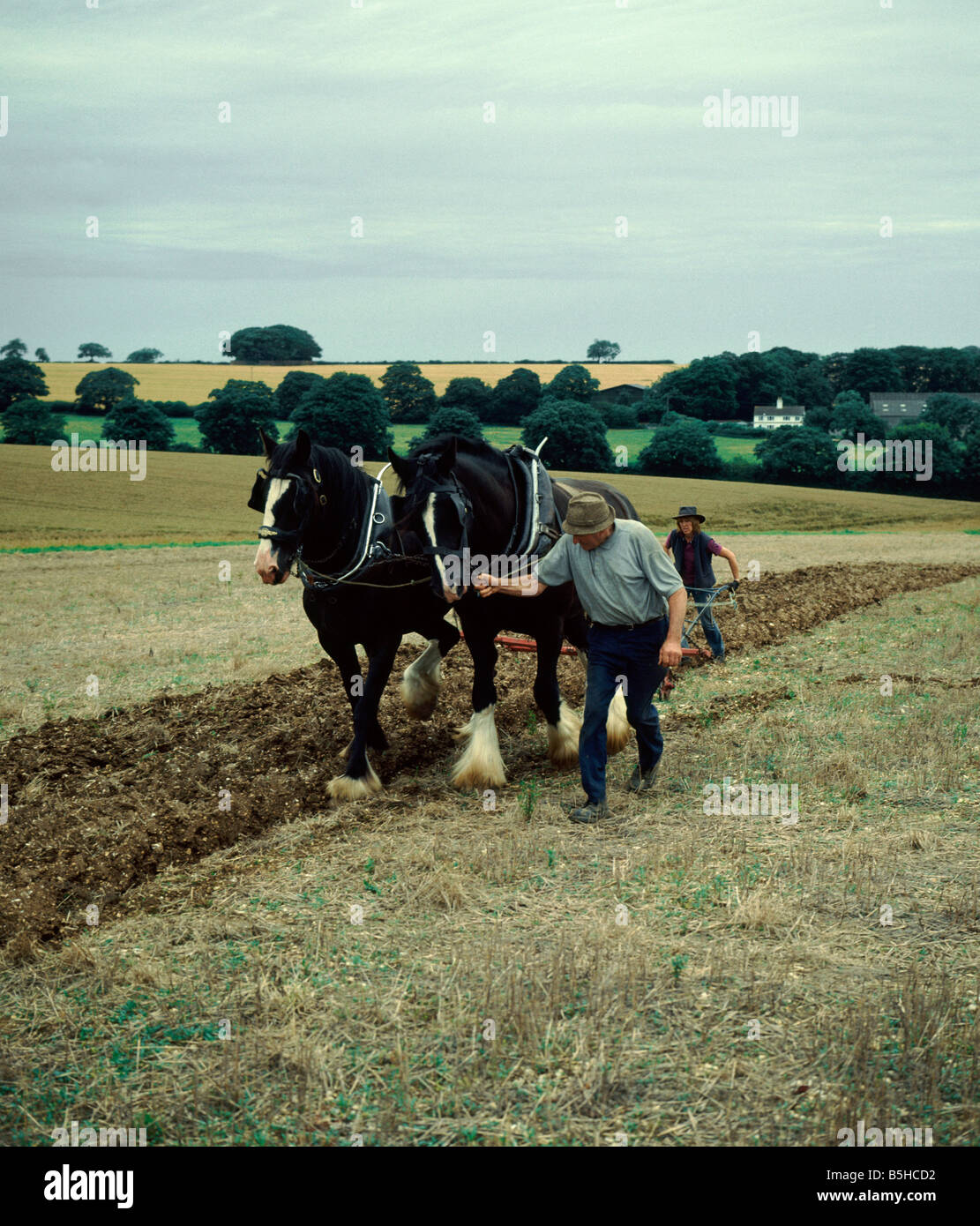 Dimostrazione di aratura con Shire cavalli plowman e assistente femmina su fattoria Lincolnshire Wolds campagna verticale in Inghilterra Foto Stock
