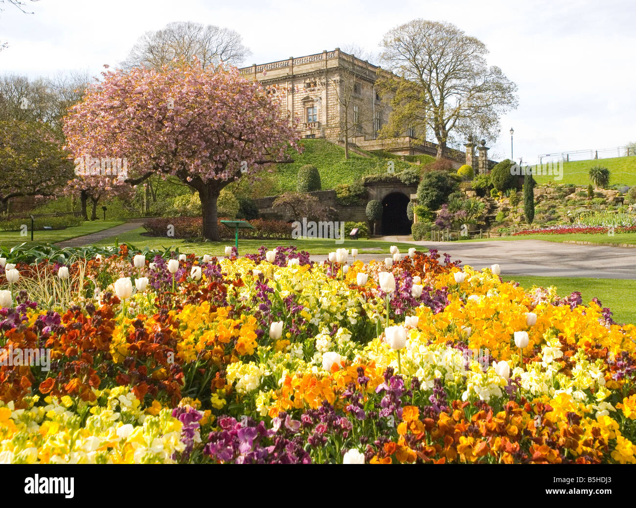 Coloratissimi fiori di primavera nel parco del castello di NOTTINGHAM, NOTTINGHAMSHIRE REGNO UNITO Inghilterra Foto Stock