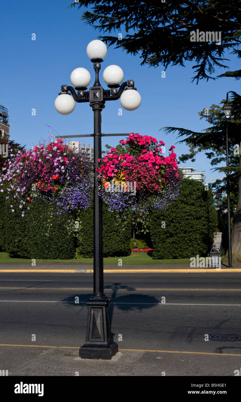 Lampione e cesti di fiori Victoria British Columbia Canada Foto Stock
