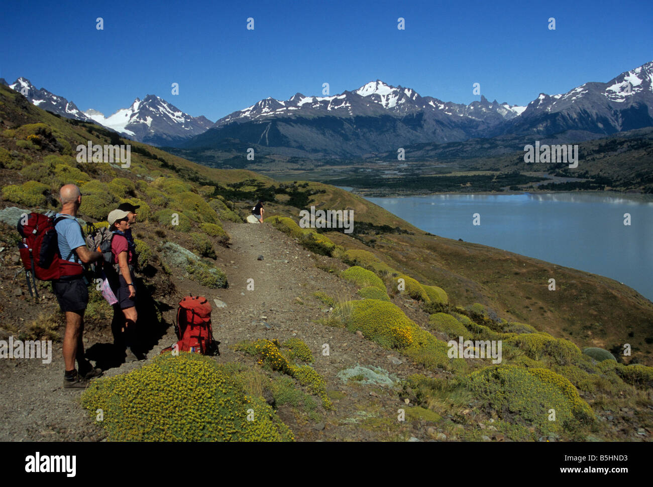 Gli escursionisti possono ammirare la vista sul lago Paine/lago Paine, il circuito di Torres del Paine, il parco nazionale Torres del Paine, la Patagonia, il Cile Foto Stock
