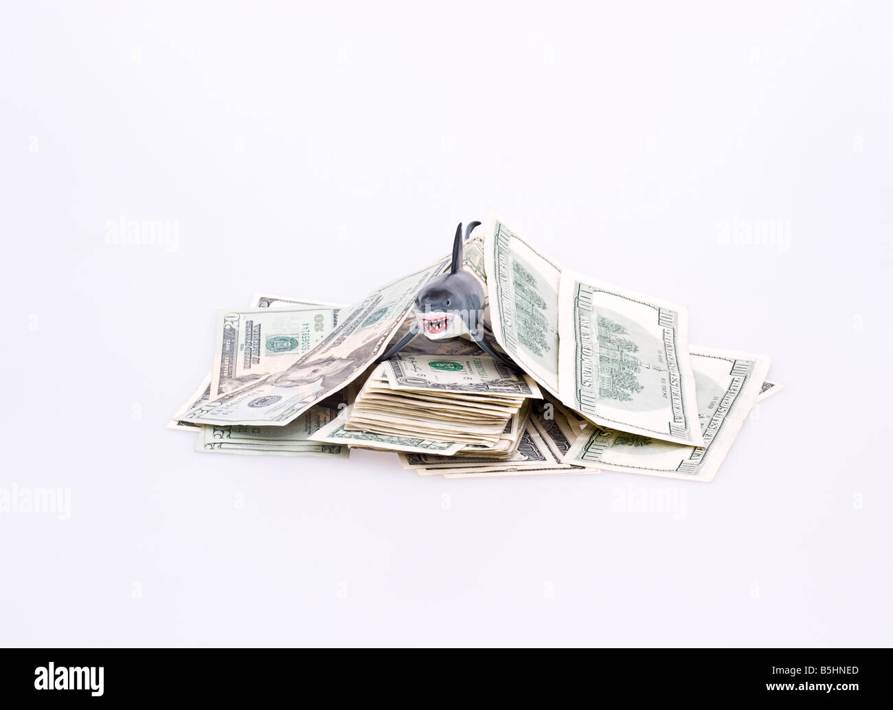 Uno squalo su un mucchio di soldi con una bolletta coperto con le fatture Foto Stock