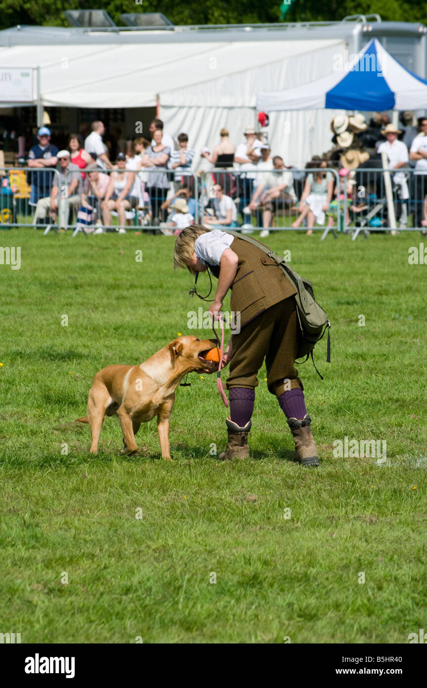 Cane gundog gestore con un cane da lavoro display Rally Cowpie Betchworth Surrey Foto Stock