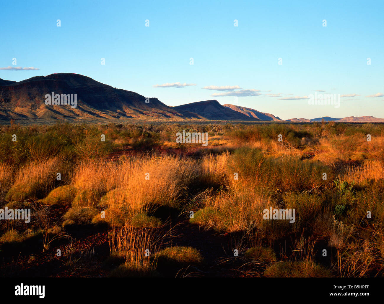Outback paesaggio, Hamersley Range, Karijini National Park, Pilbara, Northwest Australia Foto Stock
