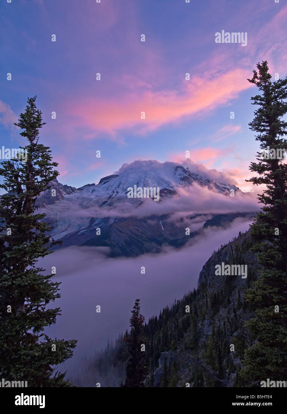 Mount Rainier dal ghiacciaio si affacciano su Sunrise Rim Trail Sunrise zona il Parco Nazionale del Monte Rainier Washington Foto Stock