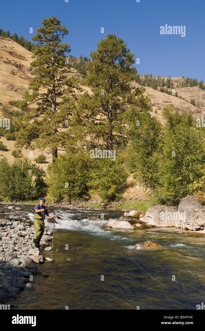 La pesca a mosca sul fiume Imnaha nella zona nord-est di Oregon Foto Stock