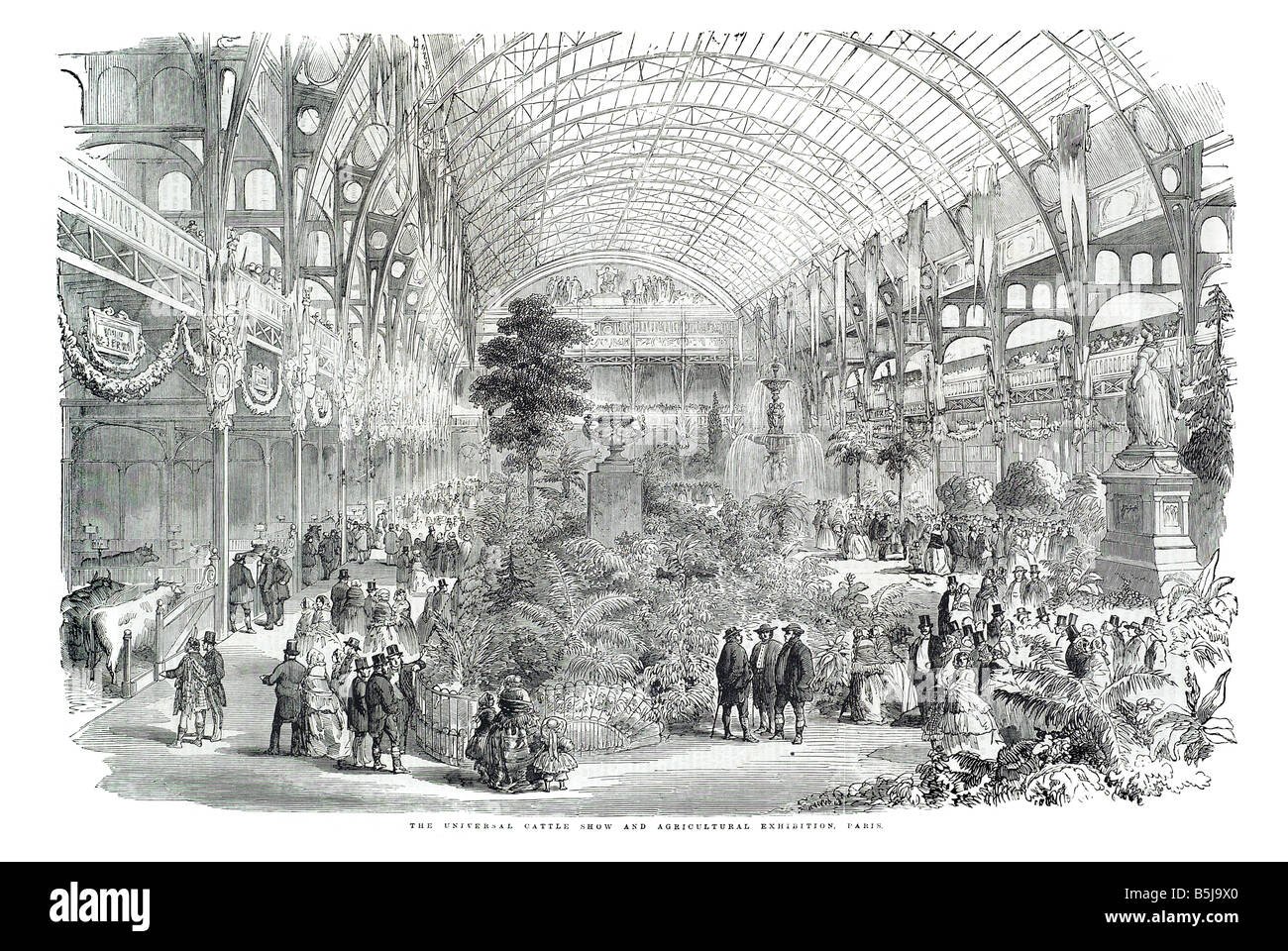 Il bestiame universale mostra e fiera agricola Paris 14 Giugno 1856 Il Illustrated London News pagina 656 Foto Stock