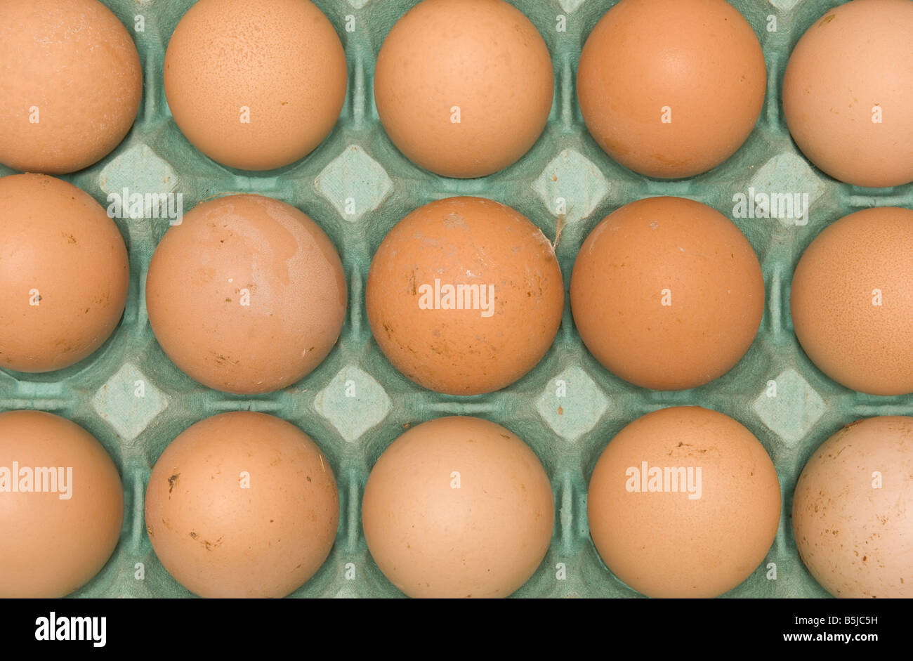Fieno di uova di galline brune in un vassoio di cartone verde Foto Stock