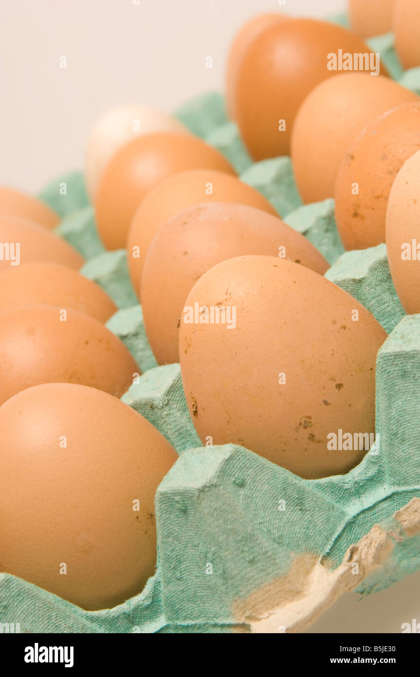 Primo piano di uova di galline brune in un vassoio di cartone su fondo bianco. Foto Stock