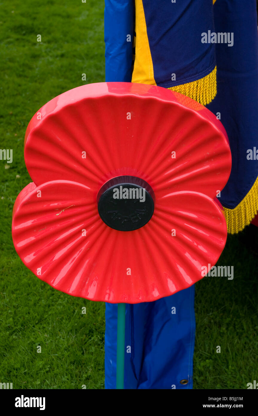 Royal British Legion papavero rosso appello Foto Stock