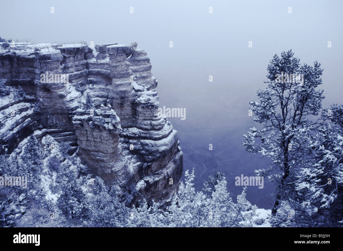 Tempesta di neve su Grand Canyon, Arizona Foto Stock