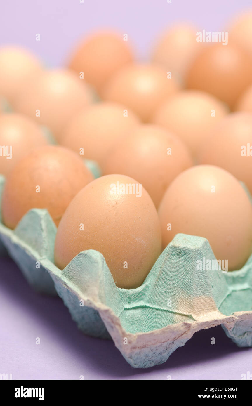 Primo piano di uova brune di galline in un vassoio di cartone su fondo lilla colorato. Foto Stock
