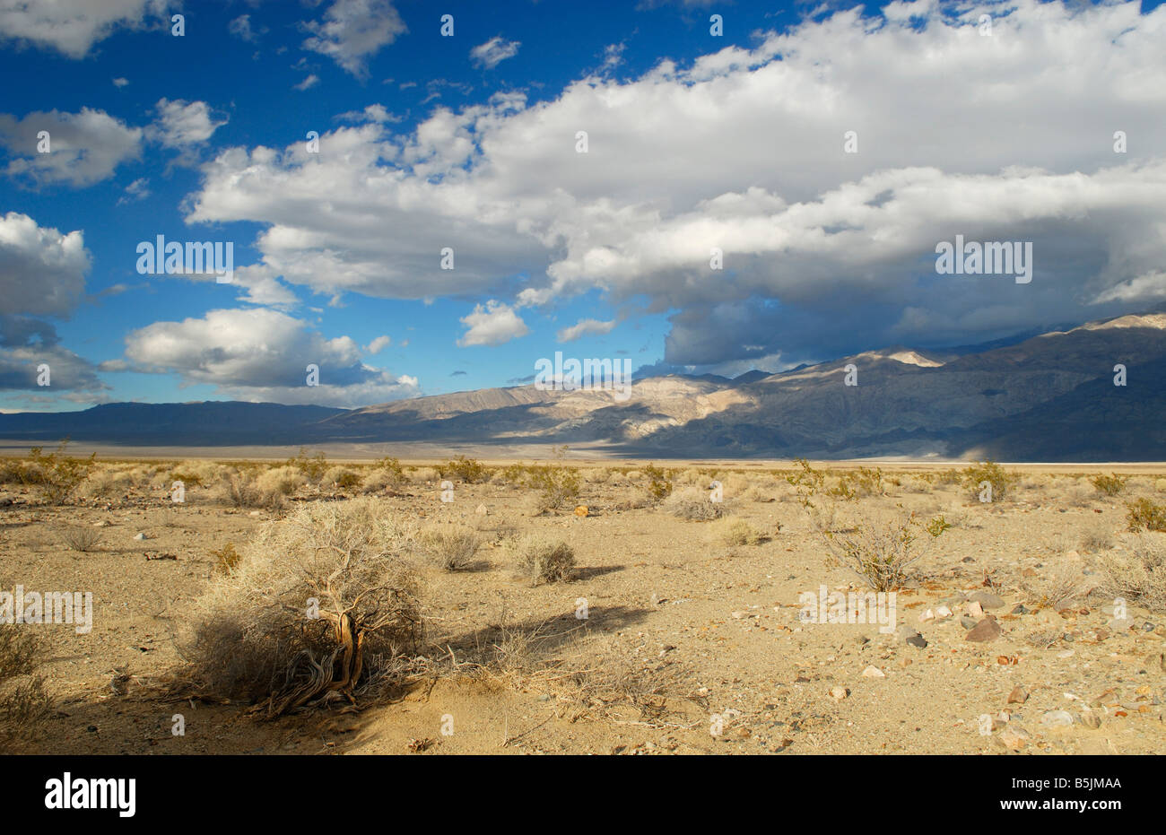Deserto Mojave in California Foto Stock