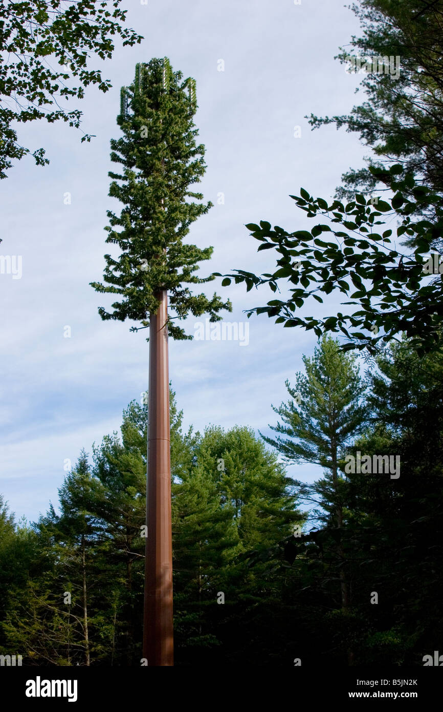Telefono cellulare torre albero nel bosco Foto Stock