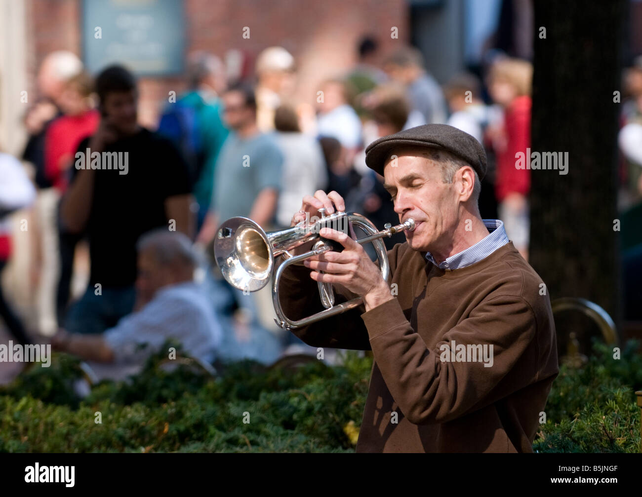 Musicista di strada - caduta soleggiato sabato, massa di Boston, New England USA Foto Stock