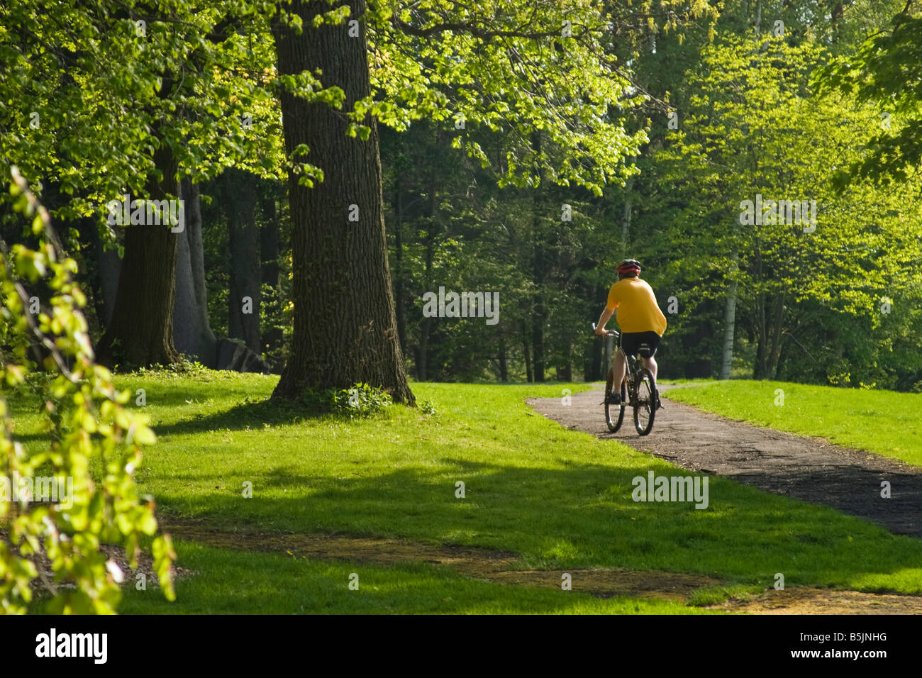 Uomo che indossa un casco in bicicletta verso il basso di un percorso ad un parco Foto Stock