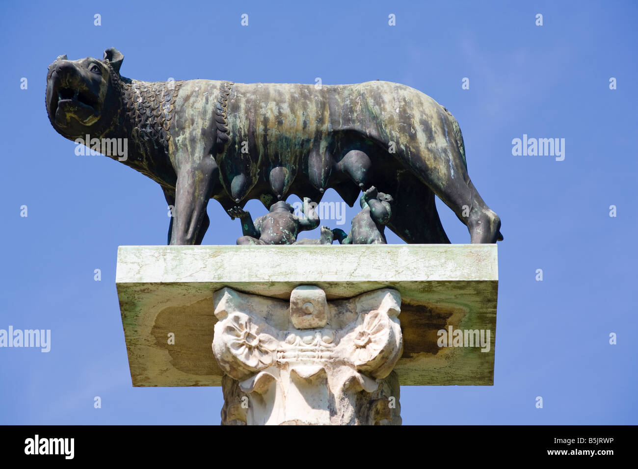 Statua del Campidoglio lupa con Romolo e Remo, Piazza del Duomo di Pisa, Toscana, Italia Foto Stock