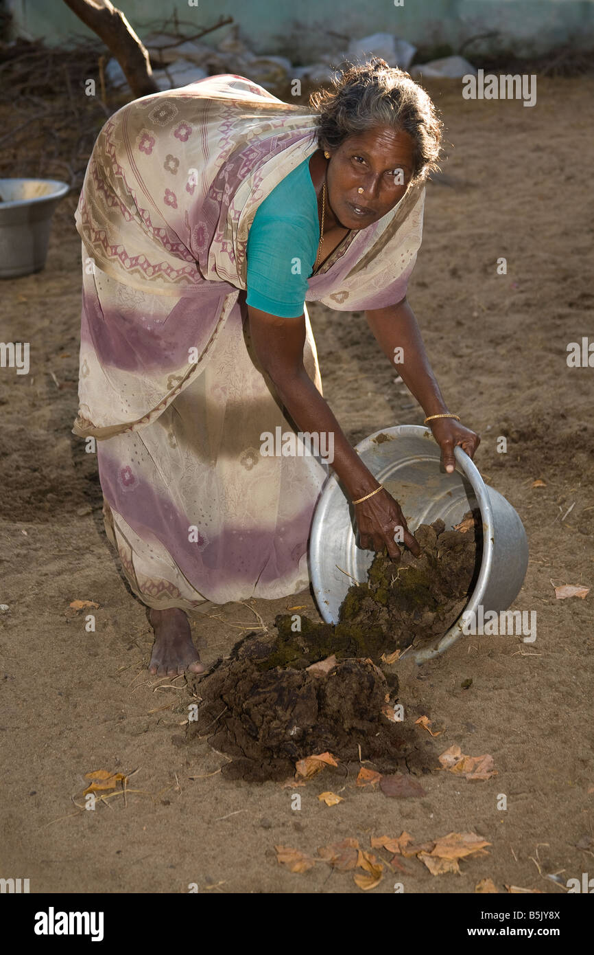 Tipico villaggio indiano il lavoro una donna raccolta di sterco di vacca per vendere nella regione di Cuddalore Tamil Nadu Foto Stock