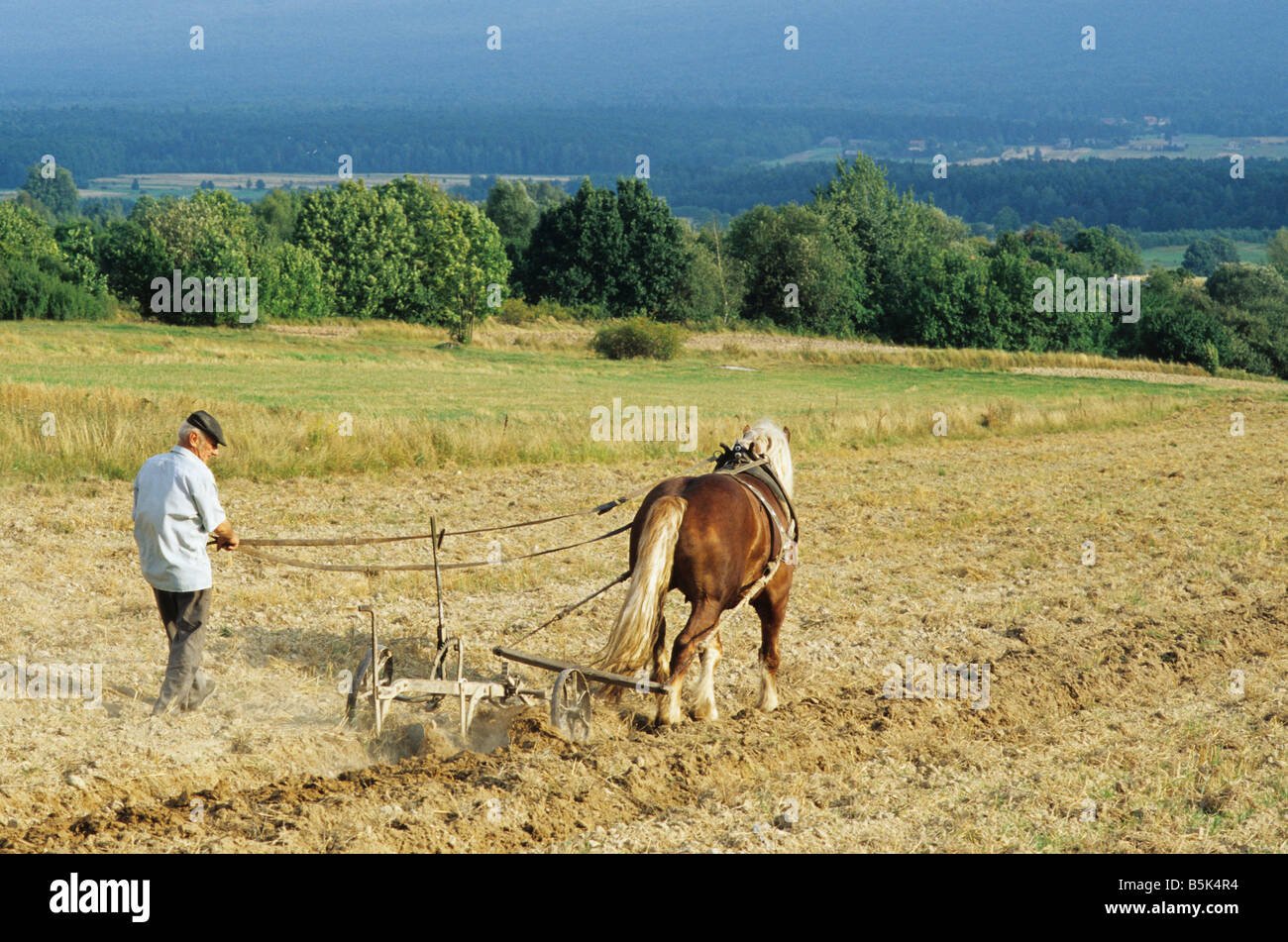 La Polonia Psary village, coltivazione fatica fatica a cavallo aratro Foto Stock