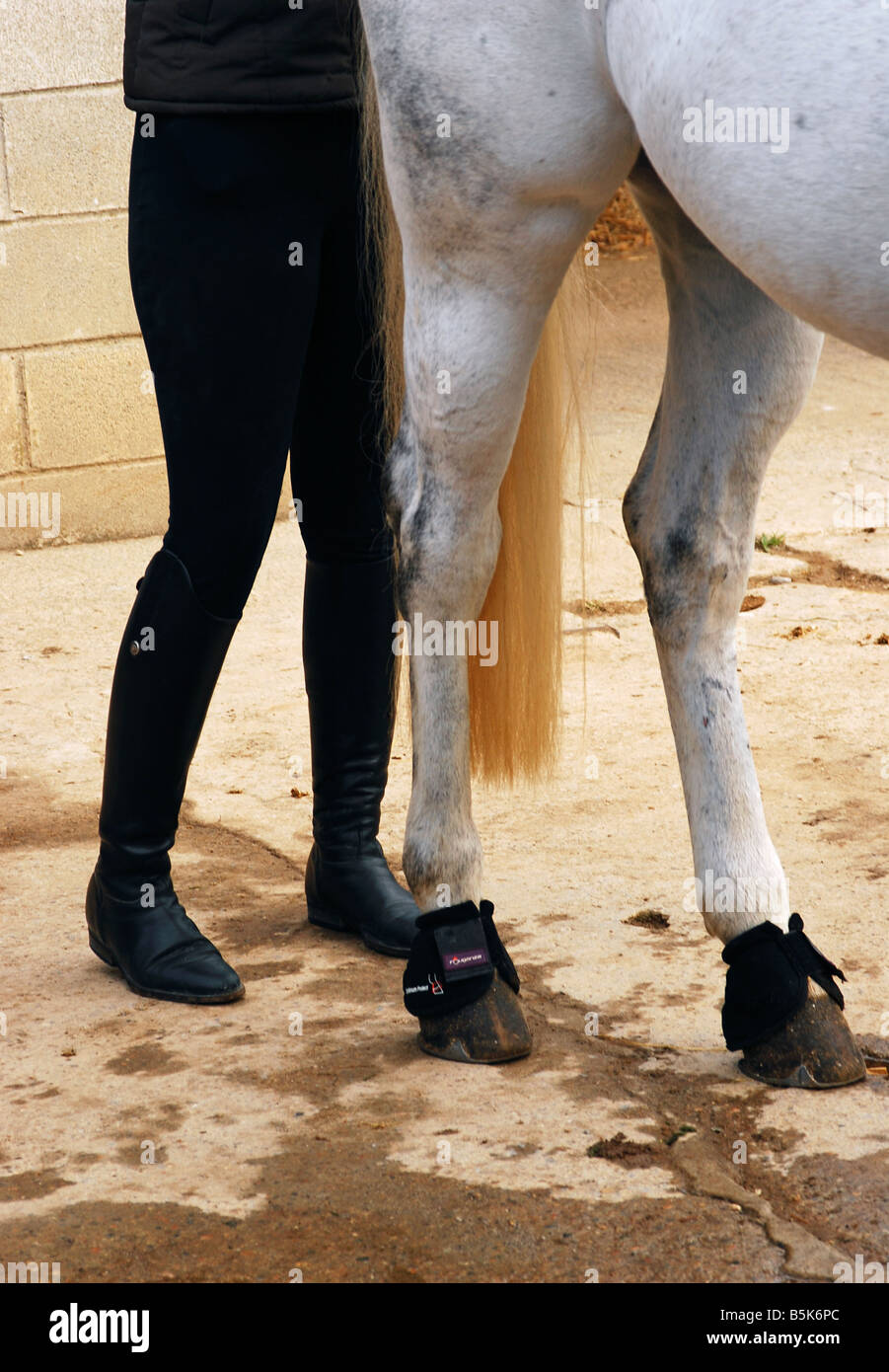 Donna gambe gambe di cavallo Foto Stock