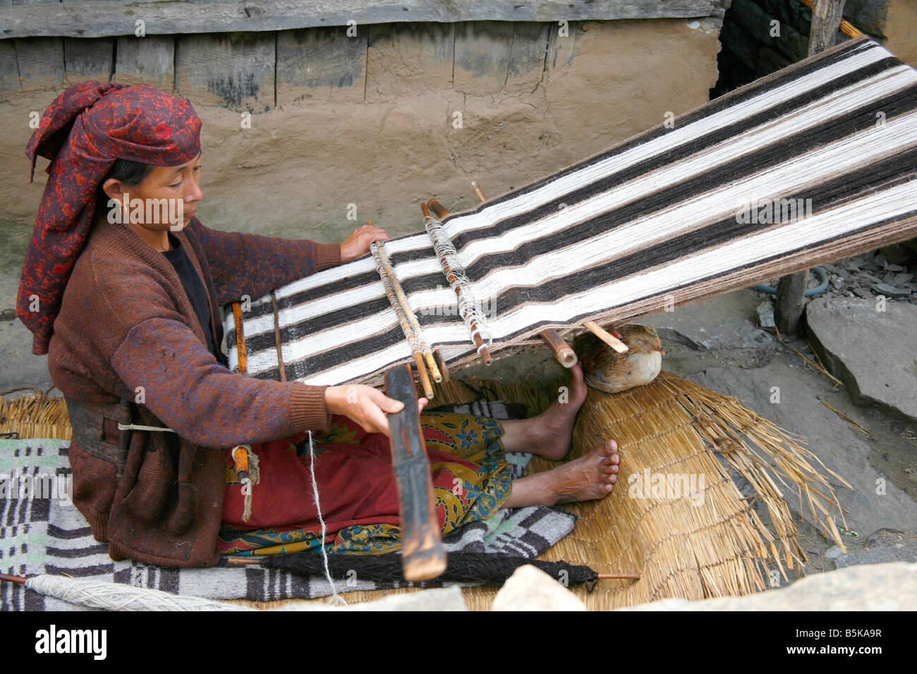 Marzo 2008 Annapurna Nepal gurung tradizionale donna tessile tessitura sulla terrazza della casa Foto Stock