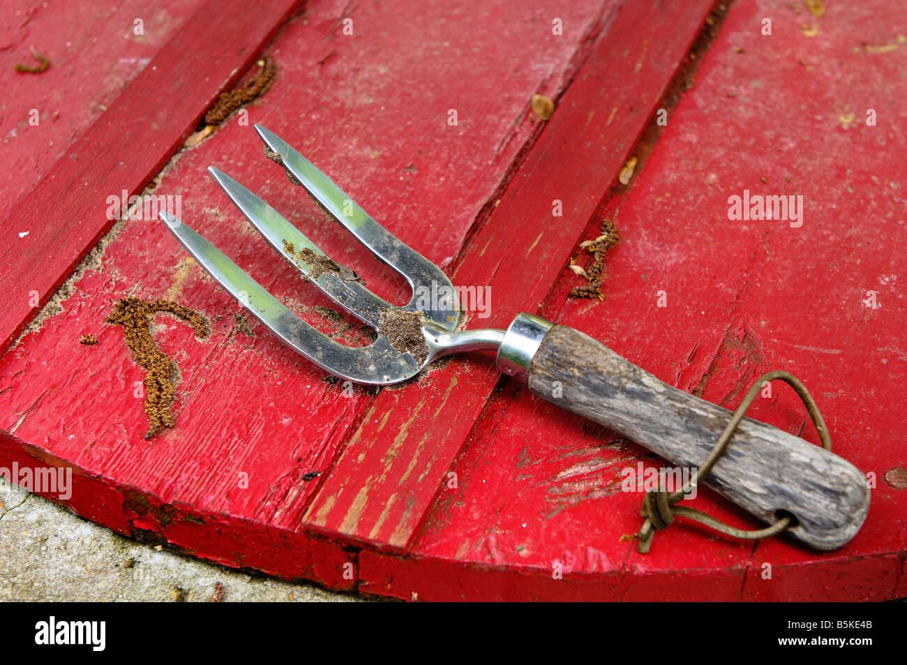 Mano Rake utensile da giardinaggio Foto Stock