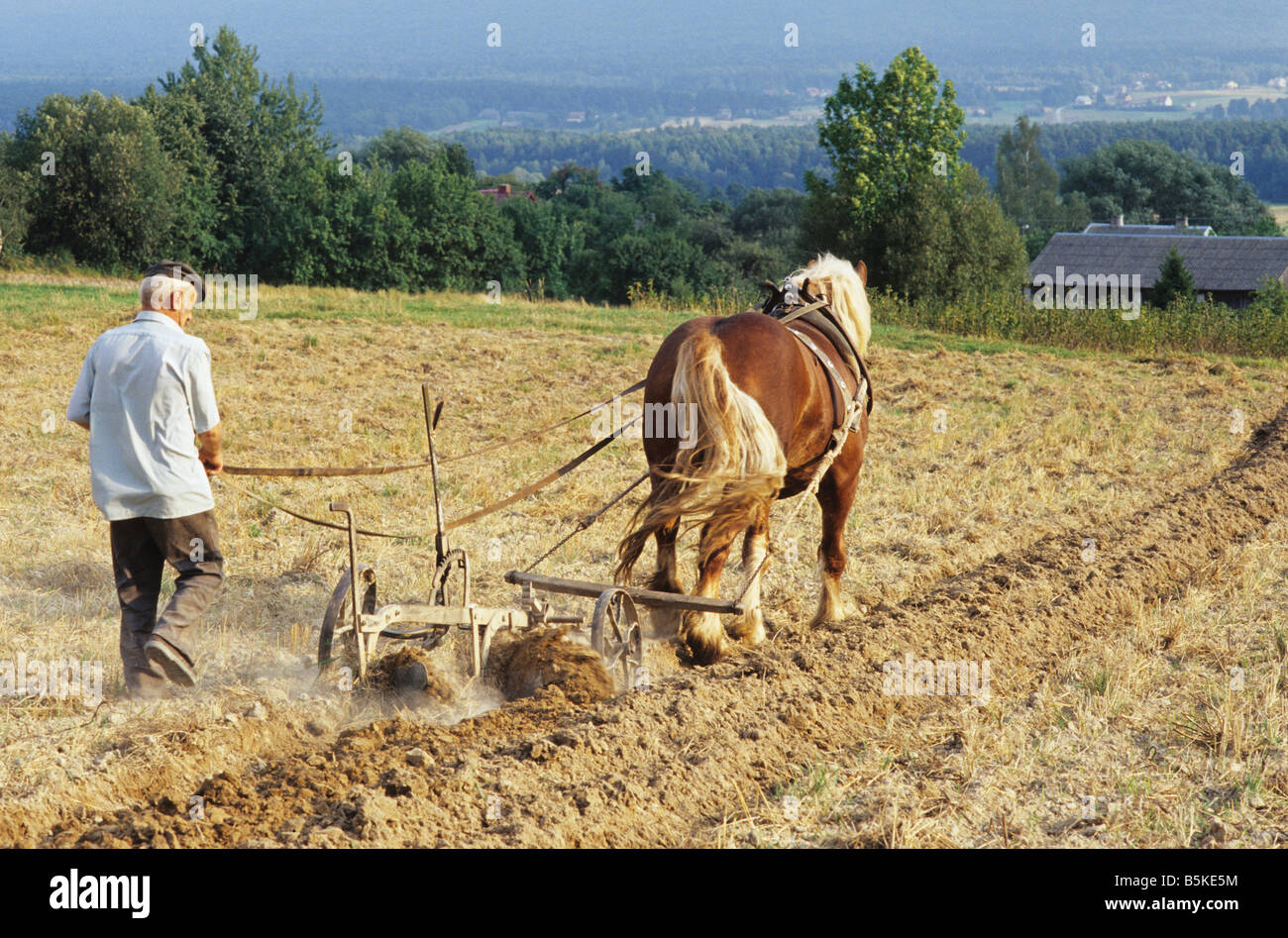 La Polonia Psary village, coltivazione fatica fatica a cavallo aratro Foto Stock