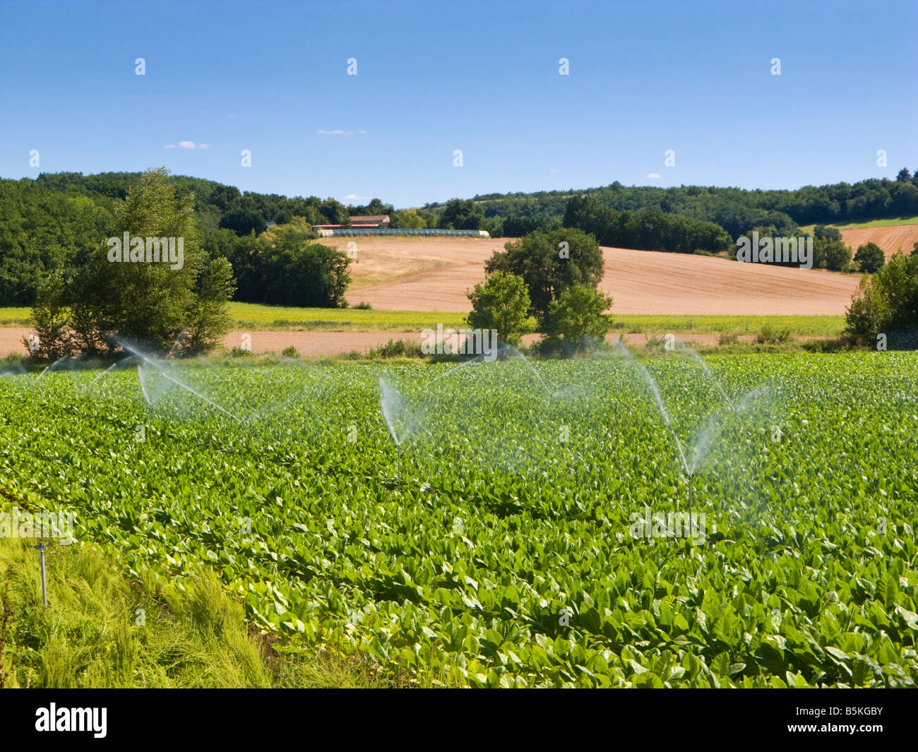 Raccolto automatico sistema di irrigazione in un campo nel sud della Francia, Europa Foto Stock