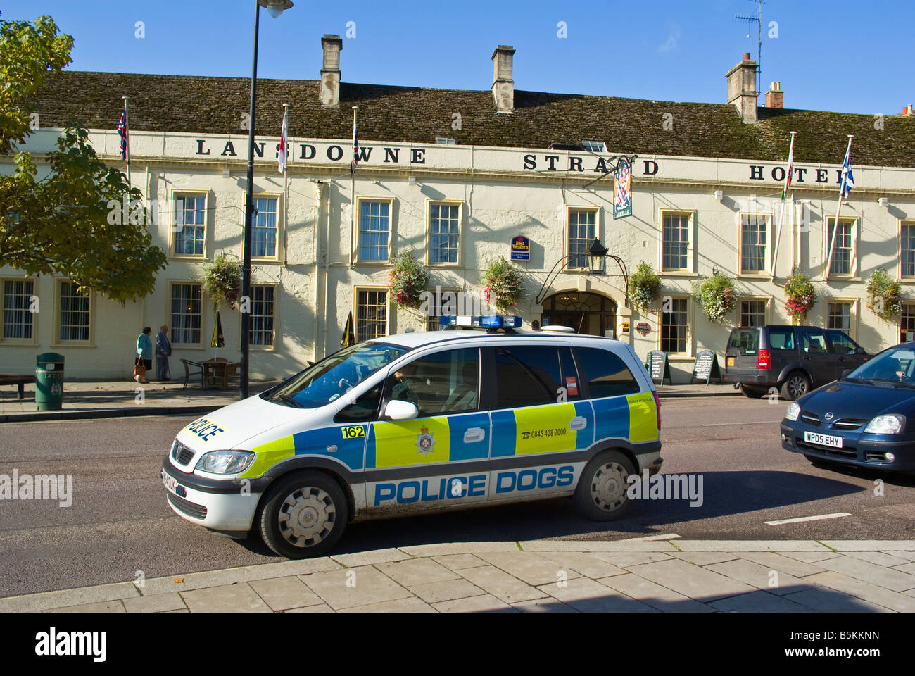 I cani di polizia auto in Calne Wiltshire, Inghilterra UK UE Foto Stock