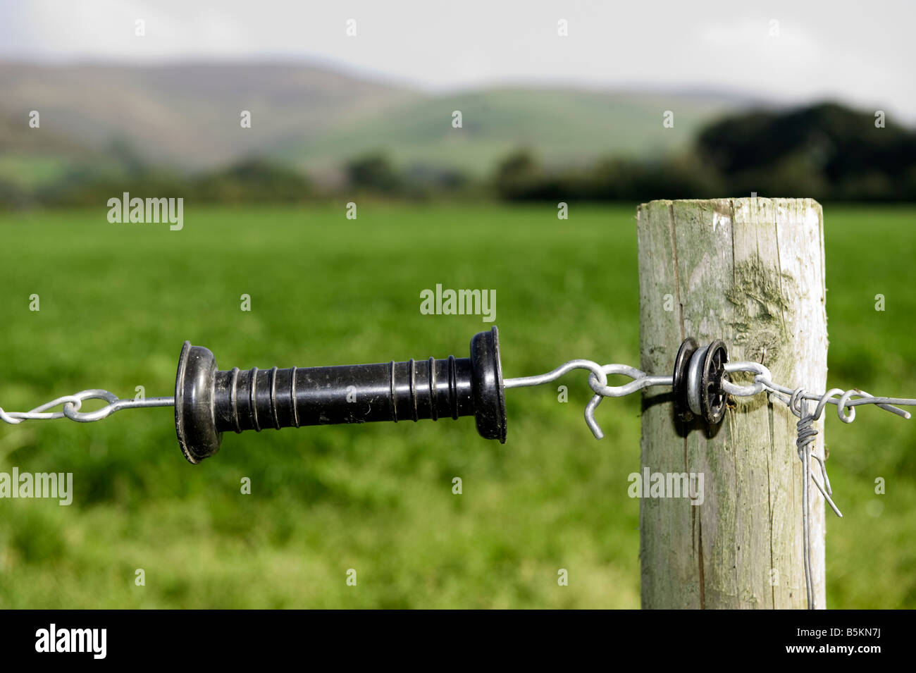 Maniglia sul recinto elettrico per consentire disconection sicuro per la  gestione delle scorte in Galles Foto stock - Alamy