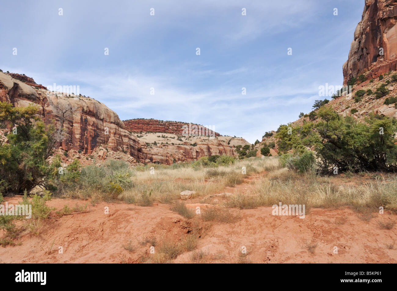 Paesaggio lungo la strada del parco nazionale Needles District of Canyonlands Foto Stock