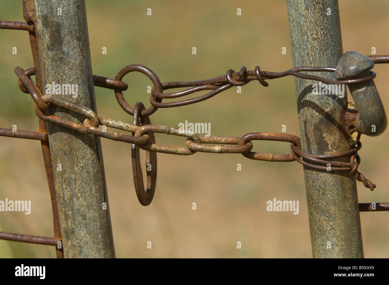 Fissaggio porta al campo del produttore lungo Esperance a Raventhorpe Road Western Australia Settembre Foto Stock