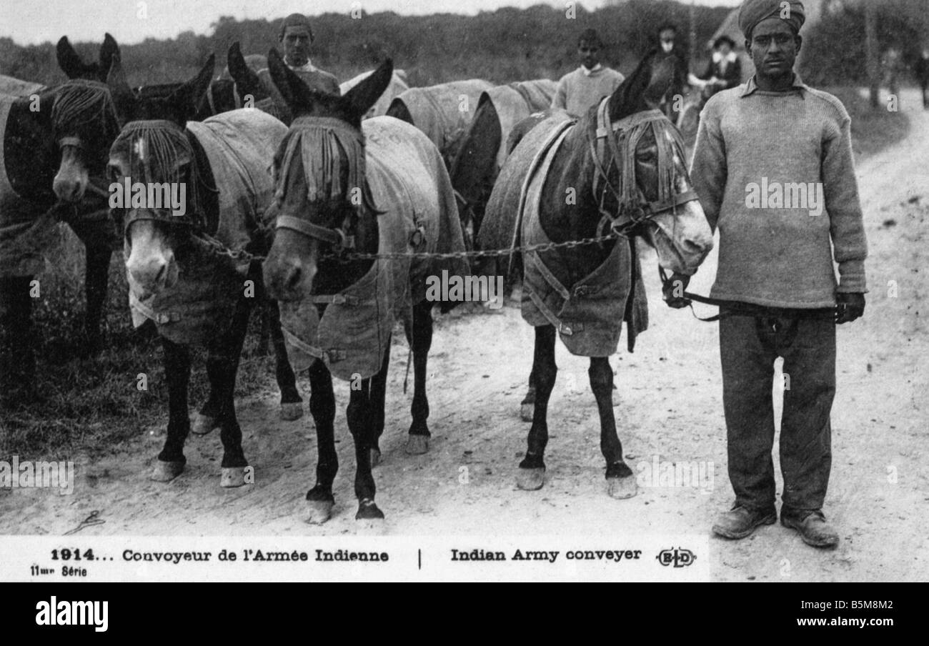 2 G55 H1 1914 1 e indiana driver di mulo I Guerra Mondiale 1914 Storia Prima Guerra Mondiale truppe ausiliario 1914 Convoyeur de l armee Indienne In Foto Stock