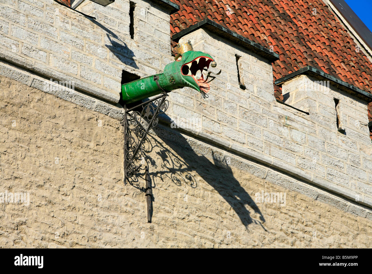 Close-up di un drago medievale-guidato gargoyle sulla faccia del municipio a Tallinn in Estonia Foto Stock