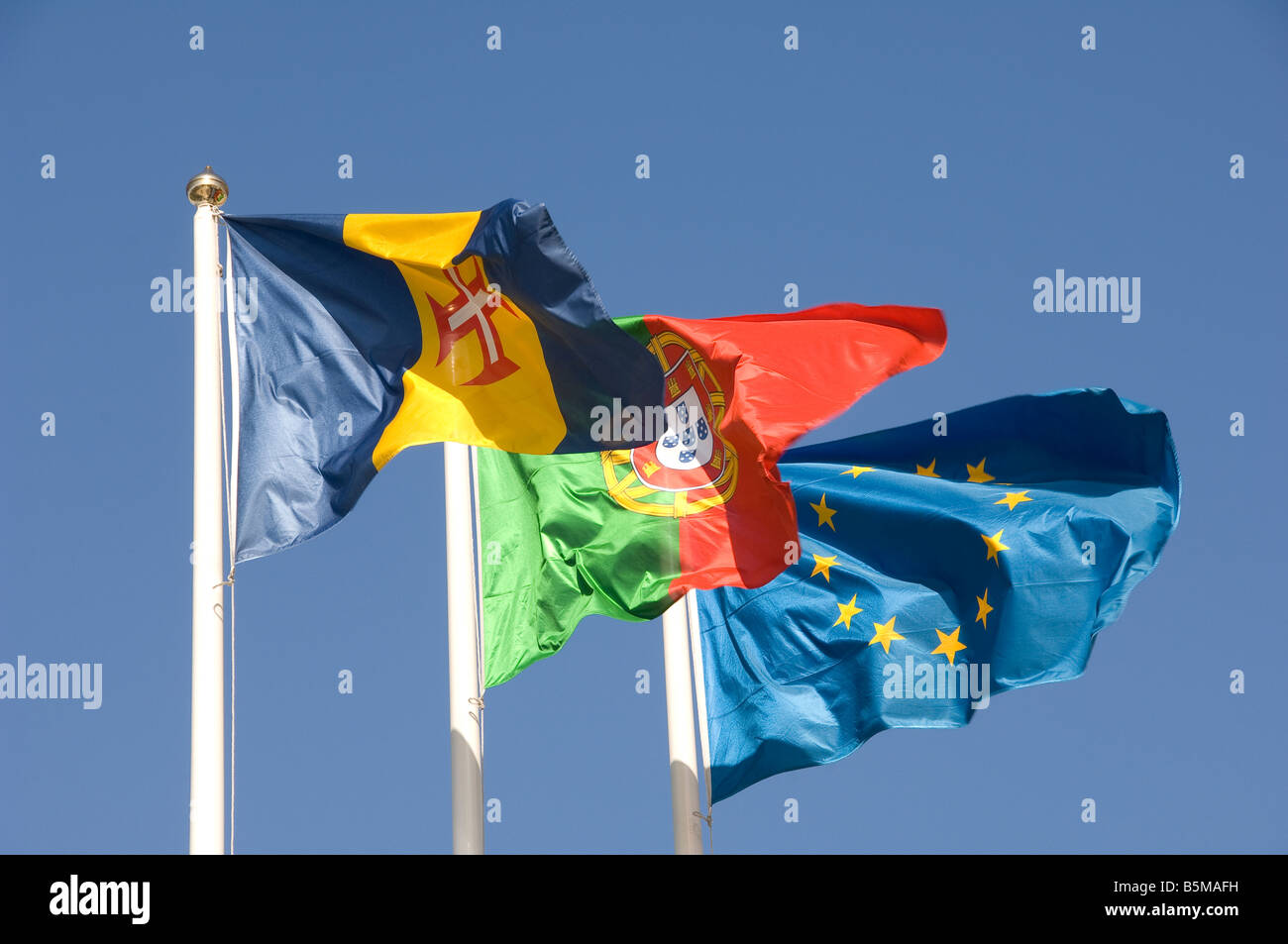 Bandiere di Madeira Portogallo e Unione europea Foto Stock