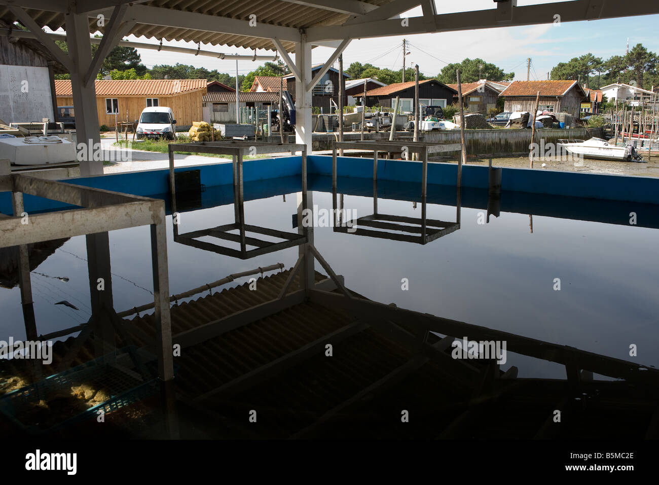 Pool di lavaggio con ostriche nel villaggio di pescatori di Piraillan Foto Stock