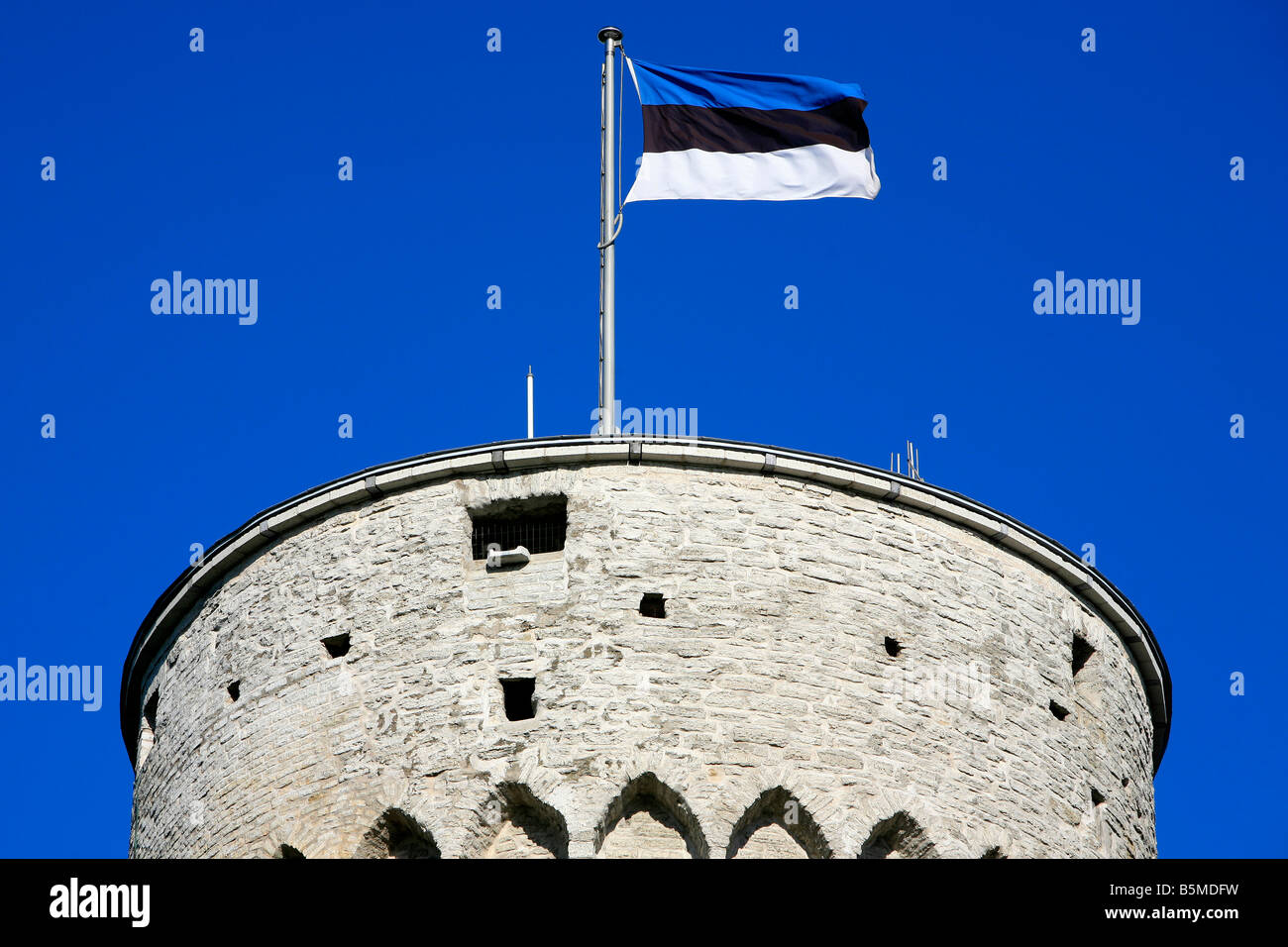 Bandiera estone battenti con orgoglio il castello di Toompea Pikk Hermann torre a Tallinn, Estonia Foto Stock